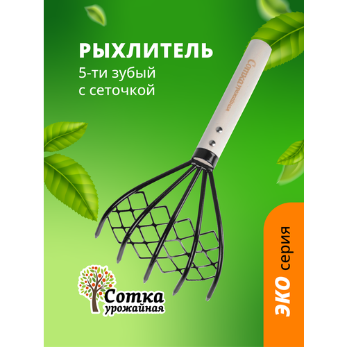 ���� ��������� 