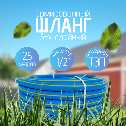 ���� ����� ���������� 1/2