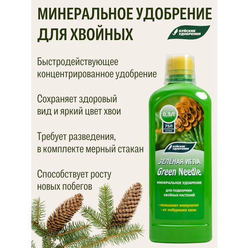 ���� ������ ����������������� ��������� 