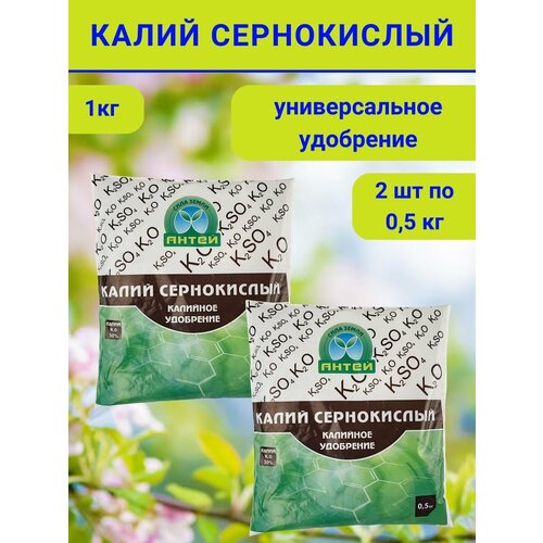 ���� ��������� ����� �����������, 1 ��, ������ �� 458 ���