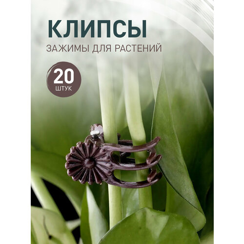 ���� ������ ��� ������� Iulkapu, 20 ����, ���������� ����, ����� 2��, ������ �� 200 ���