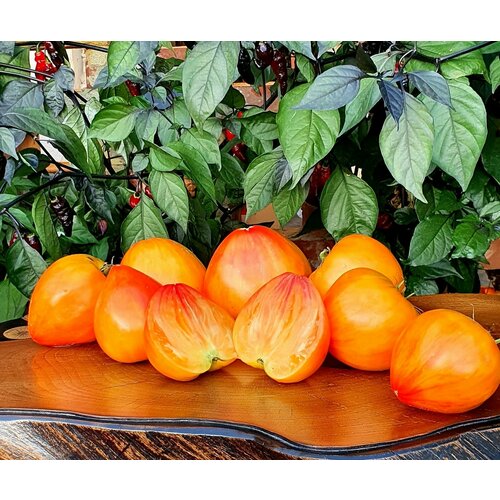 ���� ������ ������ ������ ������������� ���� (Arkansas Marvel Heart) / Seeds And Goods / � �������� zip-lock ��� ���������� 10 �����, ������ �� 269 ���