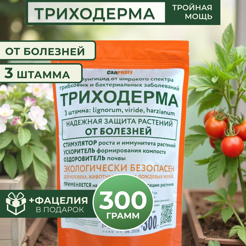 ���� ���������� 3 ������ , 300�, ������ �� 550 ���