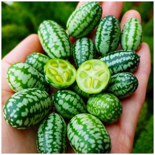    , , 20 , ,   ,  ,   383 