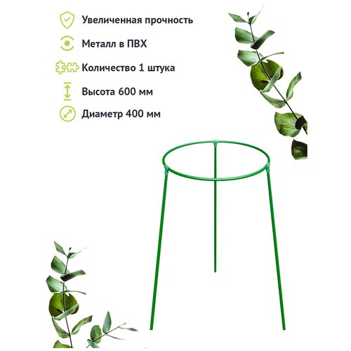 ���� �������������� 