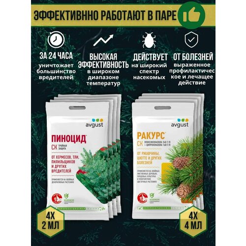 ���� �������� �� �������� � ���������� ������� �������� ������ 4 �� + ������� 2 ��, ����� 8 ��, ������ �� 949 ���