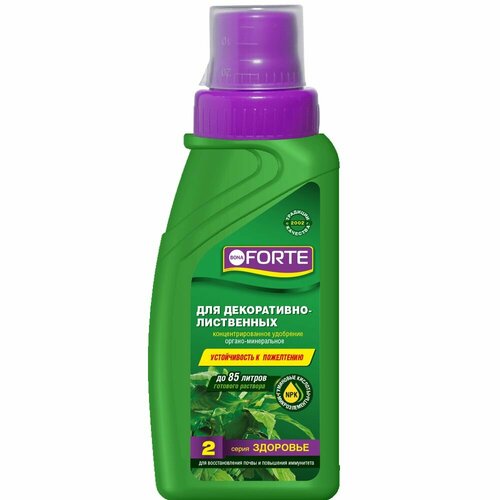 ���� ��������� ��� �����������-���������� ����������� ����� ��������, Bona Forte, ���� �����, ������, 285 ��, ������ �� 249 ���