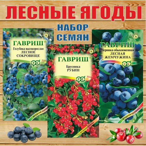 ���� ������ ����� ����� �����, ������ �� 310 ���