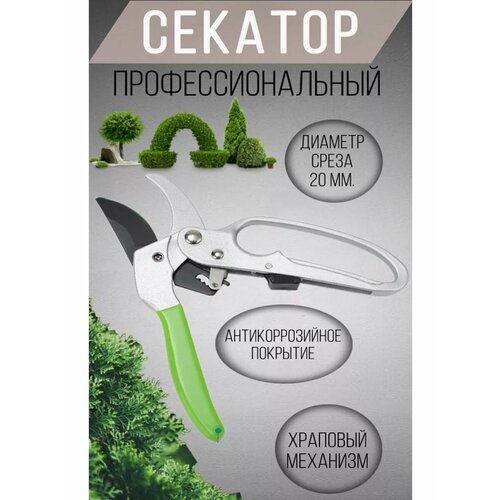 ���� ������� ������� ���������������� ��� ��������, ������ �� 323 ���