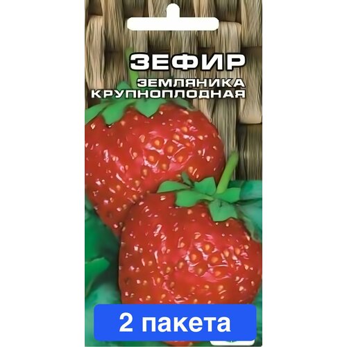 ���� ������ ������ ��������� ��� 