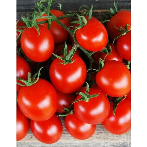 ���� ������ ����� �������� ������ 20�� ��� ������ (����time), ������ �� 44 ���