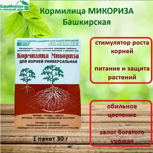 ���� ��������� �������� ����������, 1 ����� 30 �, ������ �� 205 ���