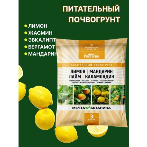 ���� ����� ��� ���������� ����� ����� �������� 3 �., ������ �� 429 ���