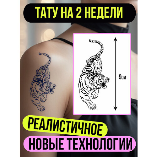 ���� ���� ���������� �������������� �������� ����, ������ �� 450 ���