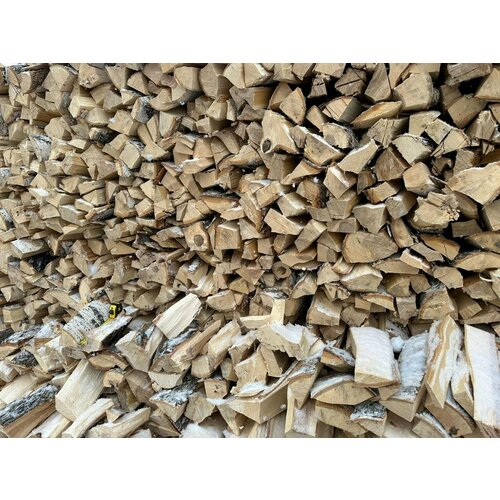 ���� ����� ��������� �������� 25 �� , ������� ��������� ������ ��������, ������ �� 1559 ���