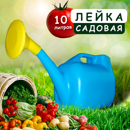 ���� ����� ������� � ������������� 10� �����, ������ �� 590 ���