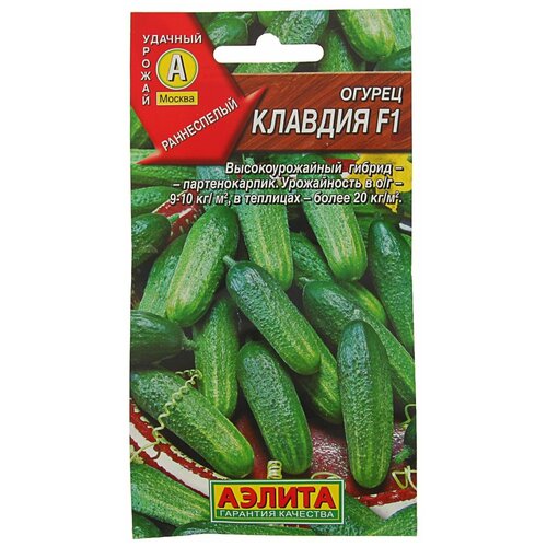 ���� ������ ������ 