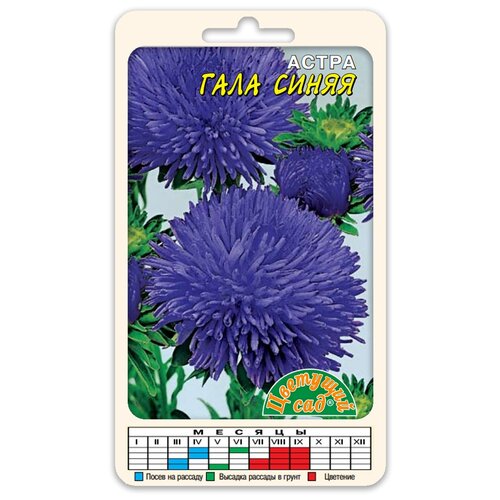 ���� ������ �������� ��� 