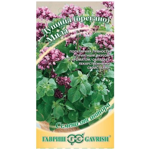 ���� ������ ������ ���� ������� �����. 0,1 ��., ������ �� 49 ���