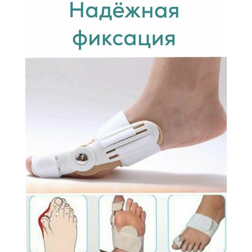 ���� ��������� �������� ������ ����. �������� ������ ���������� �������������� ����������� �������� ��������������. Loloki, ������ �� 731 ���