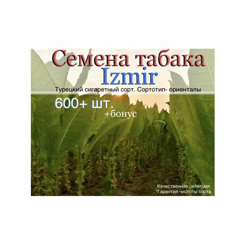 ���� ������ ������ Izmir, ������ �� 190 ���