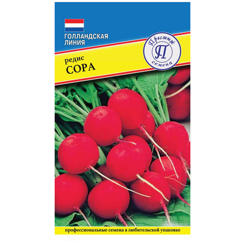 ���� ������/������� ������/������ ����� ���� �����������, ������ �� 68 ���