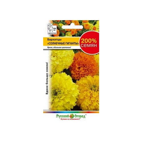 ���� ������� �������� 