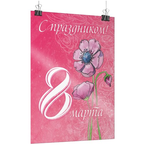    8  / -2 (42x60 ),   675 