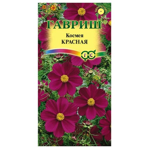 ���� ������. ������ 