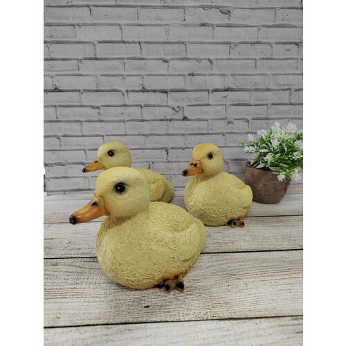 ���� ������ ������������ 