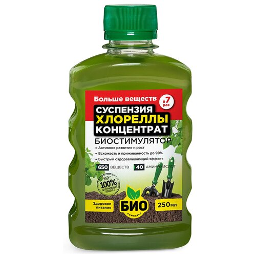 ���� ��������� ���-�������� ��������� �������� ����������, 0.25 �, 253 �, 1 ��., ������ �� 262 ���