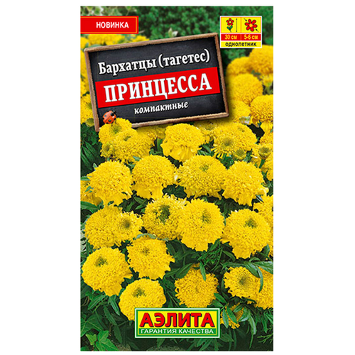 ���� ������. �������� 