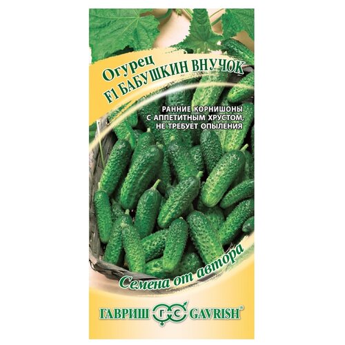 ���� ������ ������ ������ �� ������ ������ F1 �������� ������ �������� 10 ��., 10 ��., ������ �� 184 ���