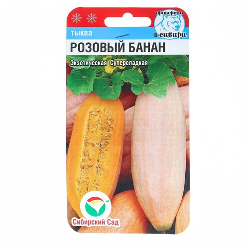 ���� ������ ����� 