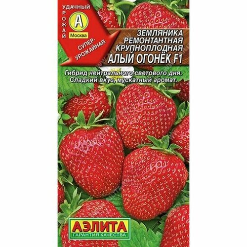 ���� ������ ��������� ���� ������ F1 (������) 10��, ������ �� 176 ���