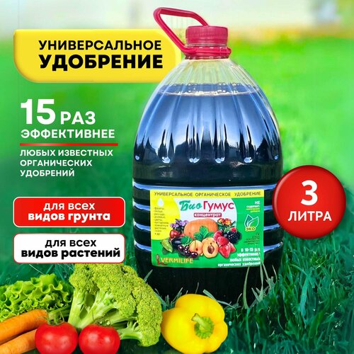 ���� ��������� ������������ �������� ������ ���������� 3�, ������ �� 400 ���