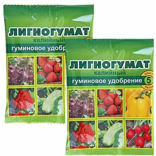    (20% -  ), 2   5  -  ,      ,  ,   ,   570 