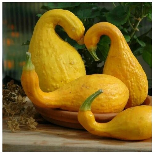     (),   ,     ,  , 5 ,   225 