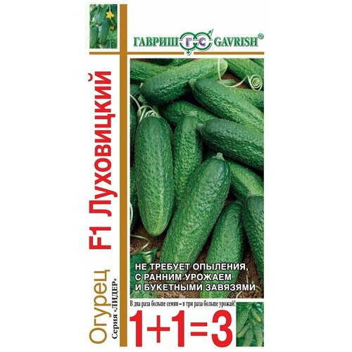 ���� ������ ������ 