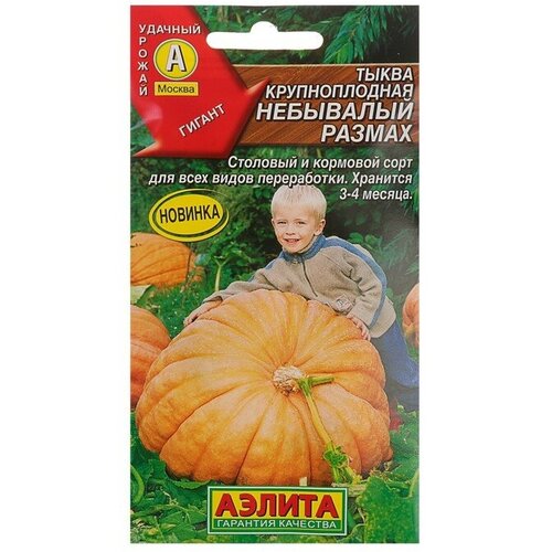 ���� ��������� ������ ������ ����� ������������� 