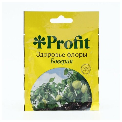 ���� �������� ������ �������� �� ���������� �������, �������+, 30 ��, ������ �� 320 ���