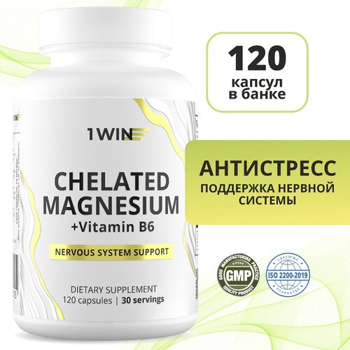 ���� ������ ����� � ��������� �6, �������� ��� ������ �� �������� � ����������, 120 ������, ������ �� 688 ���