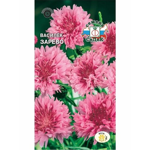 ���� ������� 