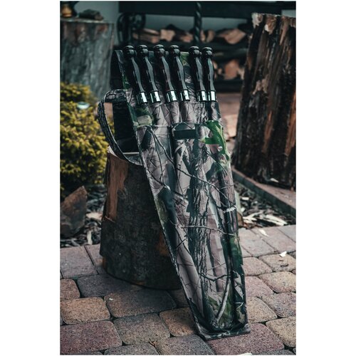 ���� ����� �������� ��� 