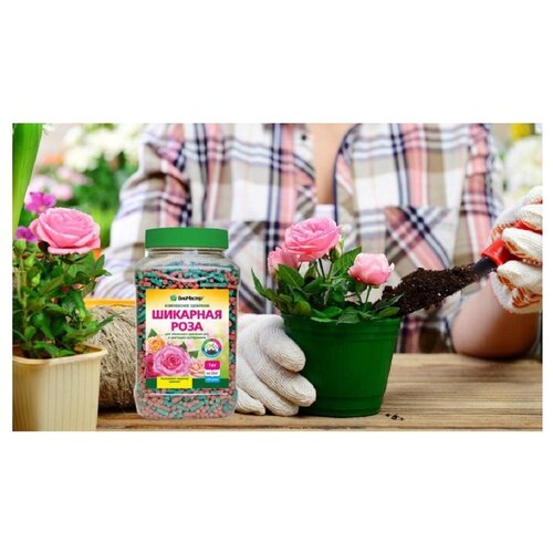 ���� ����������� ����������� ��������� ��������� �������� ����, 1,2��, ������ �� 610 ���