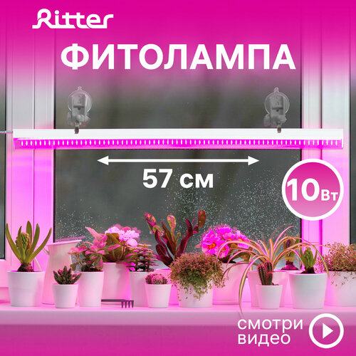 ���� ��������� ������������ ��� �������� �5 Ritter PLANTA, 10��, 573�21�35��, ������ 2�, ����������� �� �������, ���� �����, �������������� ��� ������� ��������, ���������� ��� ��������� ������, 56296 2, ������ �� 1601 ���