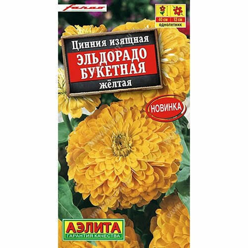 ���� ������ ������ ��������� �������� ������, ����������, (������) 12��, ������ �� 53 ���