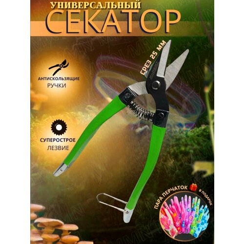 ���� ������� �������, ������ �� 299 ���