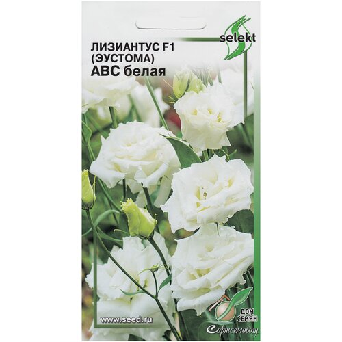 ���� ��������� F1 (�������) ��� �����, 5 �����, ������ �� 297 ���