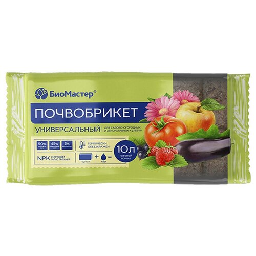 ���� ������� ����������� 